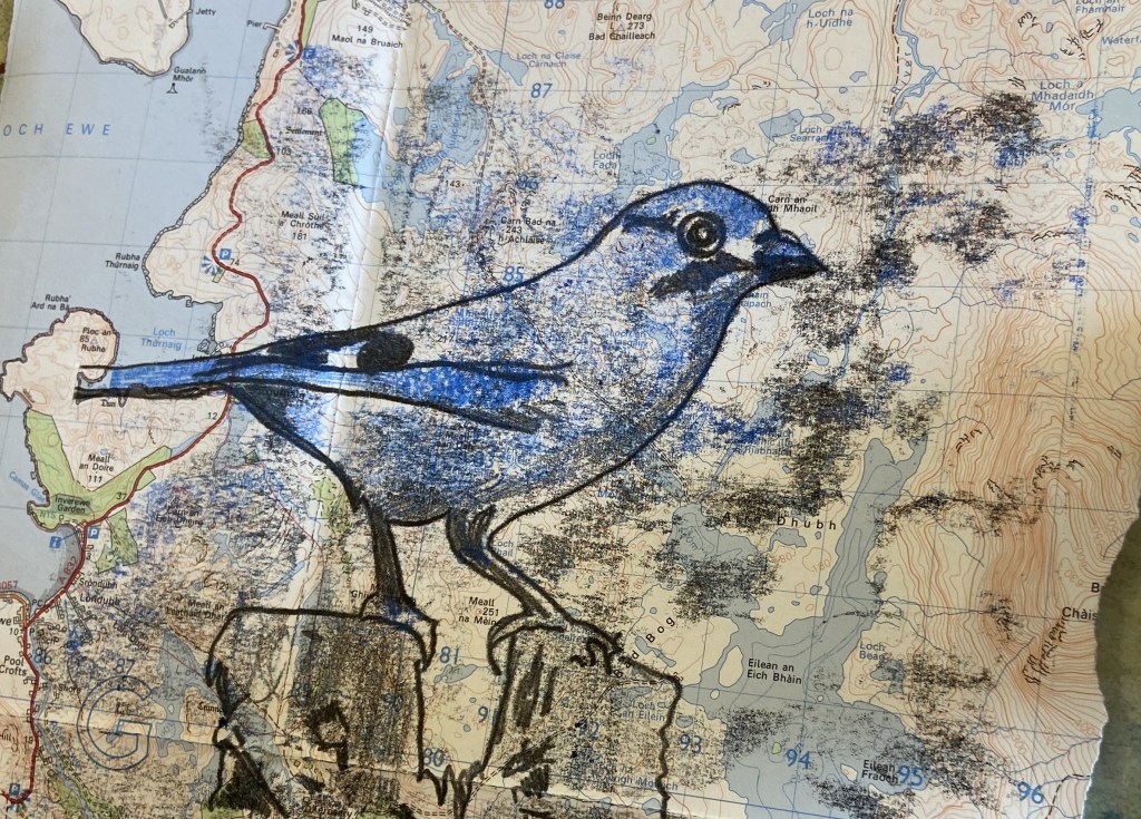 Creative Workshops with&nbsp;Luan